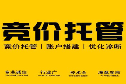 搜索引擎营销（SEM）托管服务在提升ROI方面的案例